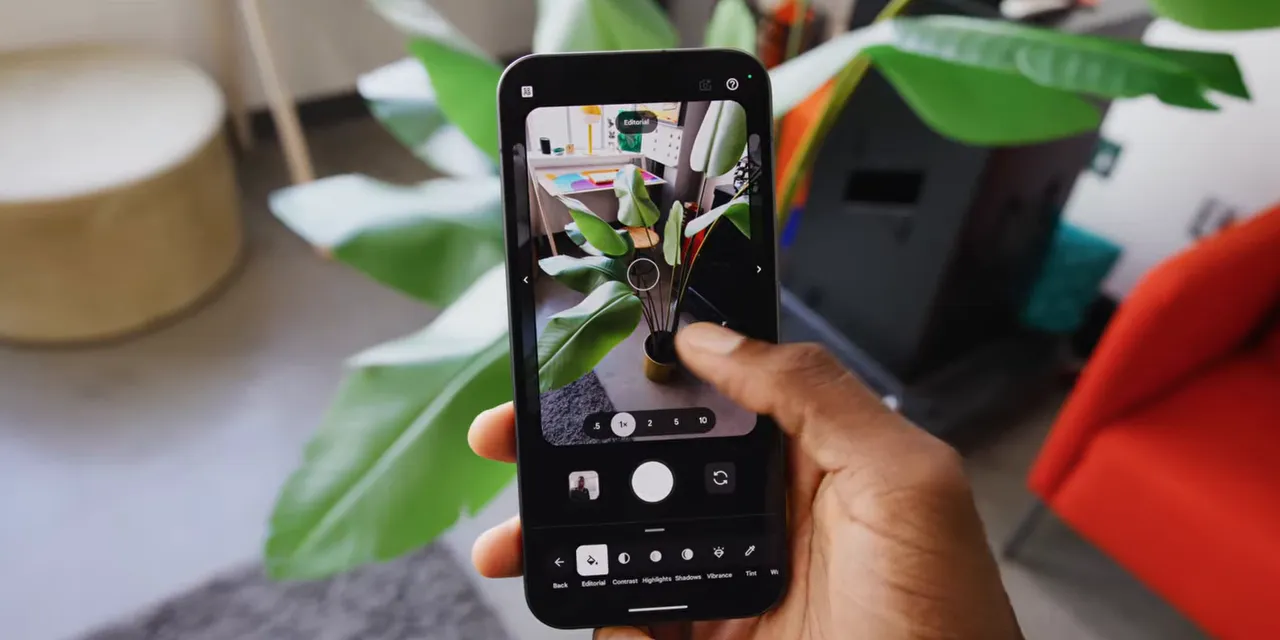 Pixel camera interface displaying a plant with a row of Camera Looks controls