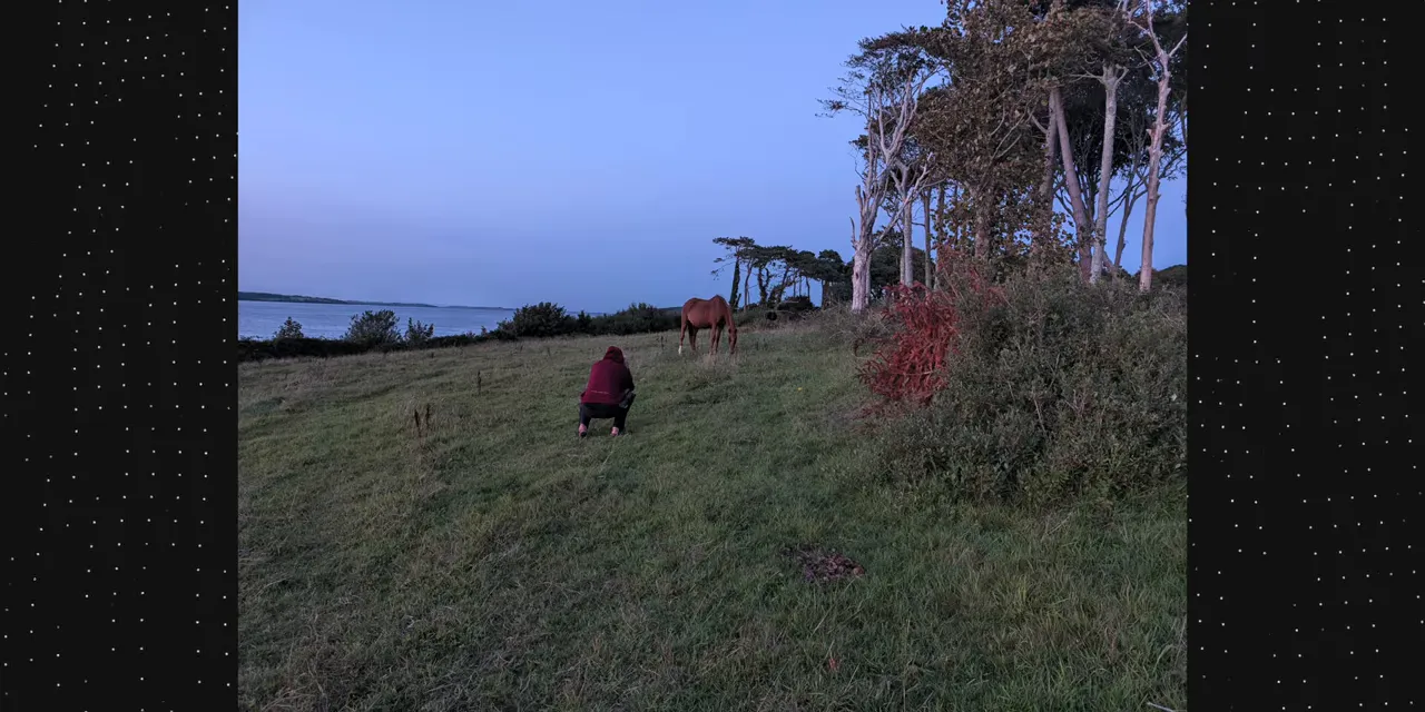 Photo of a horse and a person in a red jacket in a grassy field at dusk
