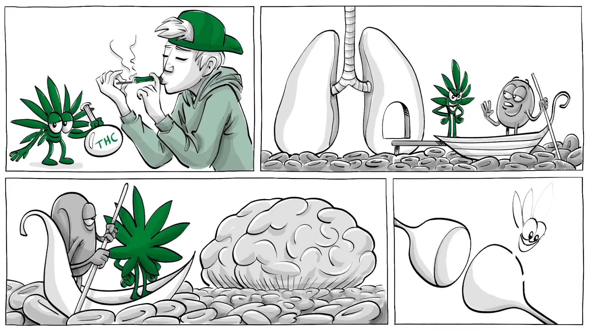 THC entering bloodstream and affecting the brain