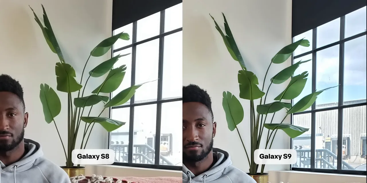 Galaxy S8 and Galaxy S9 photo crops showing a plant and different levels of detail through a window