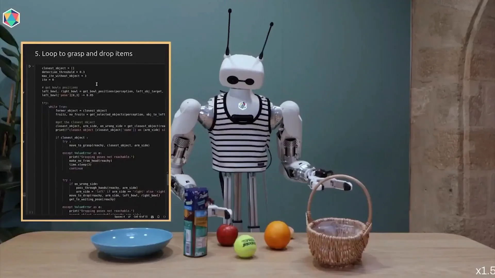 Pollen Robotics humanoider Roboter