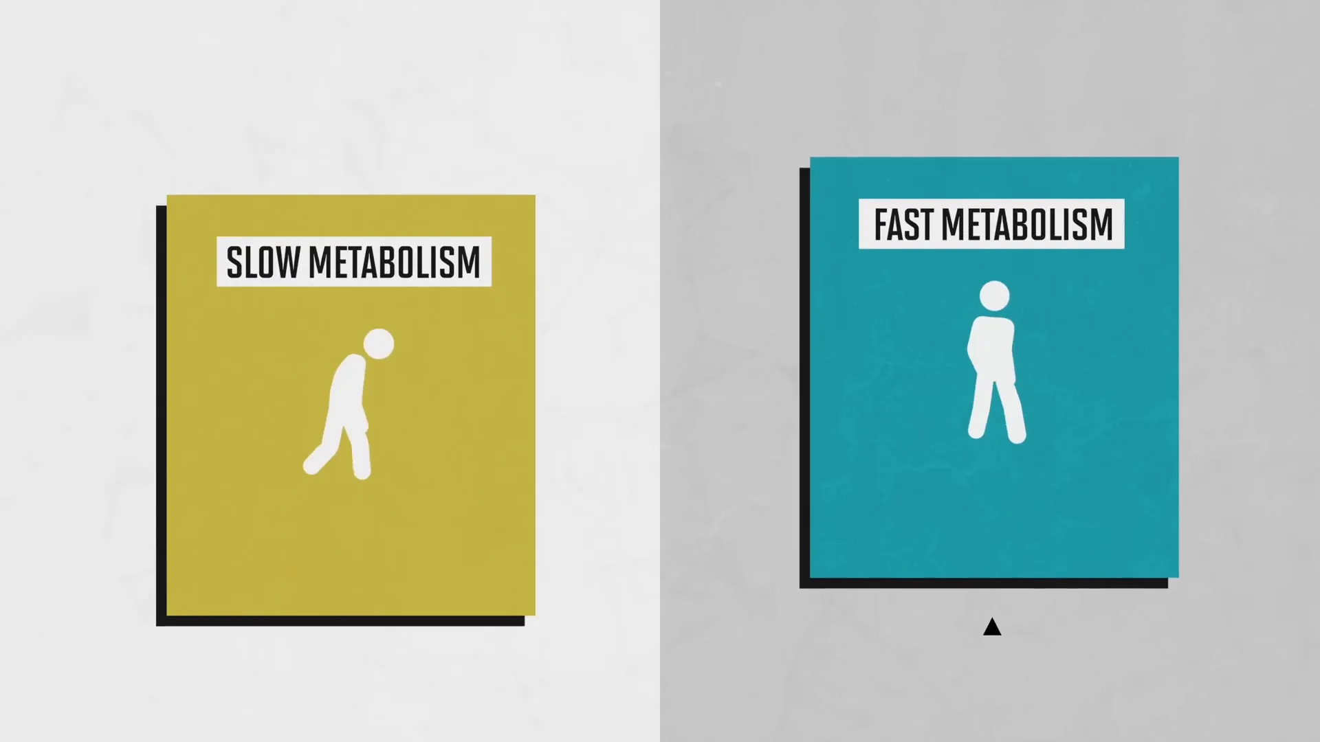 stock image representing explanation of metabolism