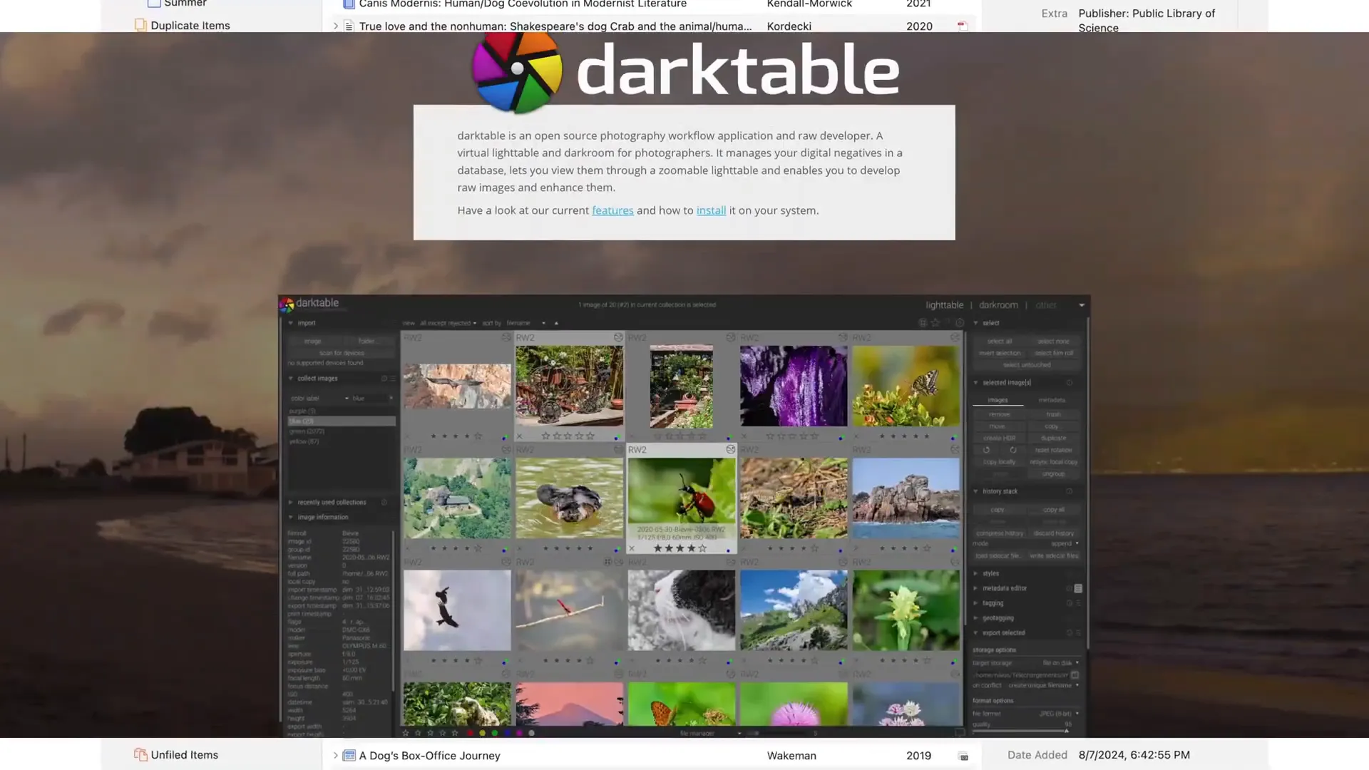 Darktable interface