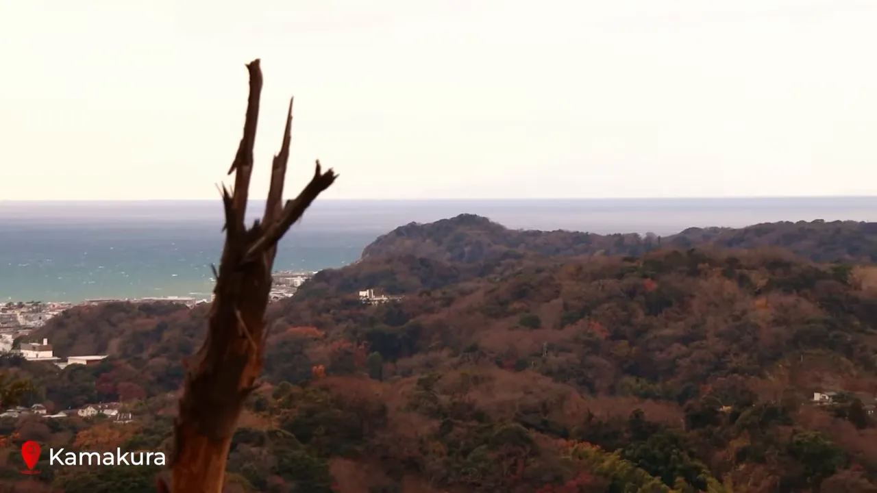 Wide coastal view over Kamakura showing wooded hills and the Pacific Ocean with a small 'Kamakura' location tag