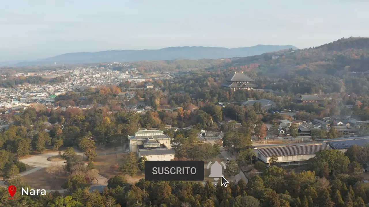 Wide aerial view over Nara Park showing wooded grounds, Todaiji Temple and surrounding town