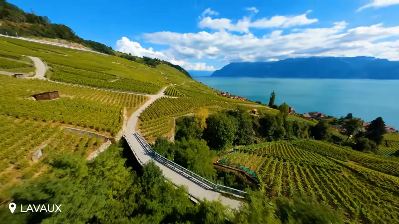 Aerial panorama of Lavaux terraces showing a footbridge, vine rows and Lake Geneva with alpine backdrop
