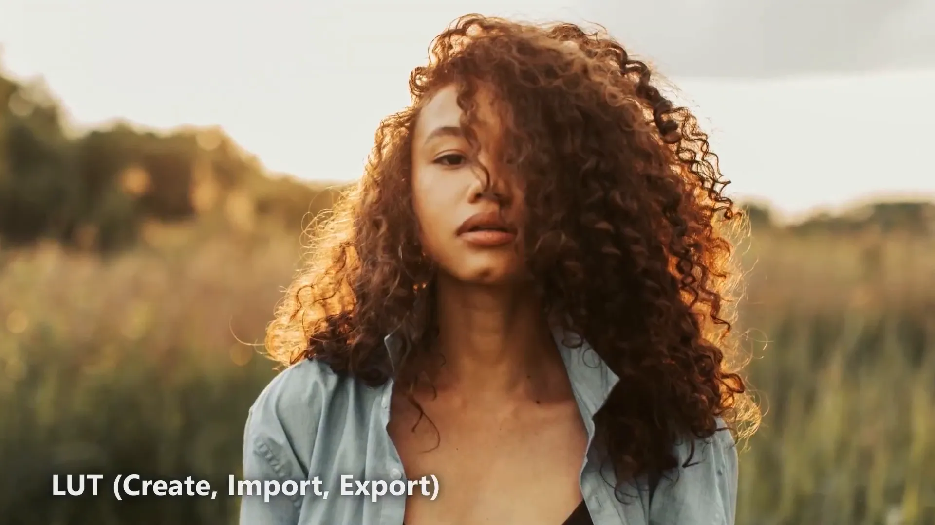 Smart tools in PhotoDirector