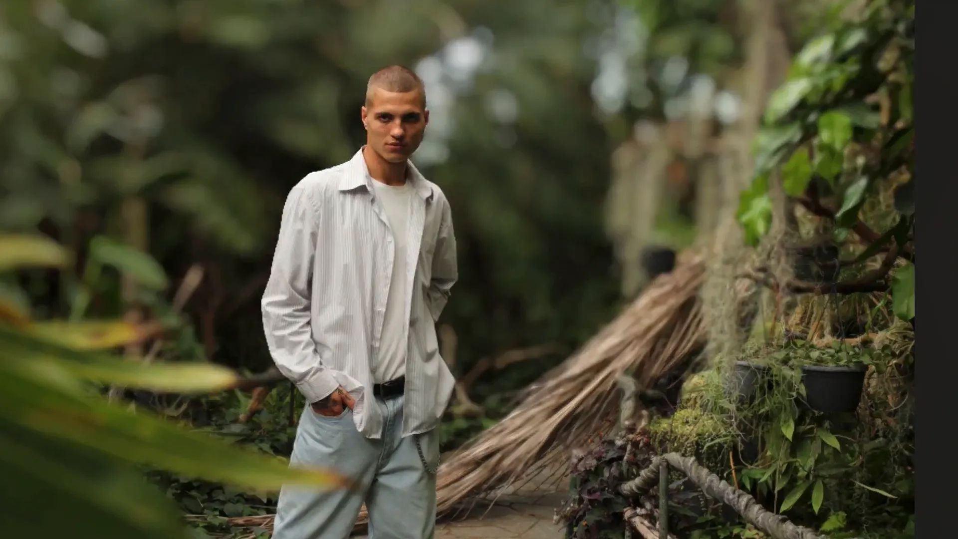 Sky replacement feature