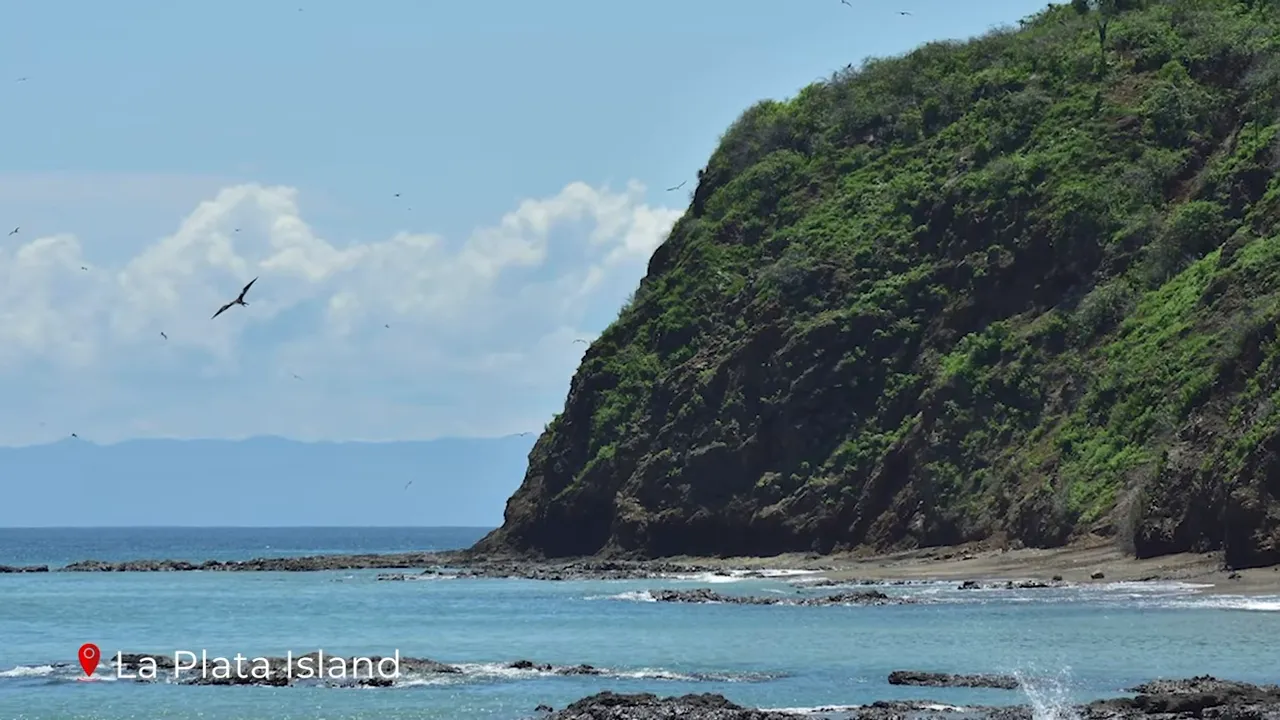 Rocky cliff and turquoise waters at La Plata Island with seabirds in flight