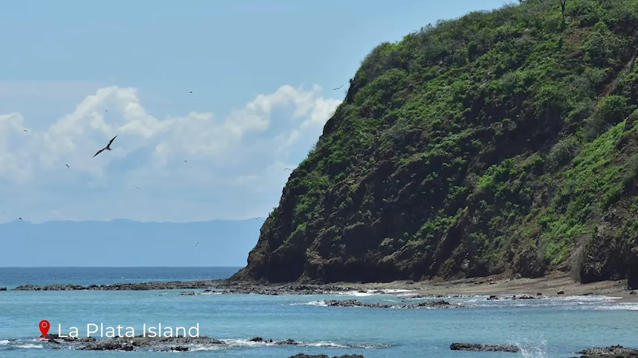 Seabirds flying above rocky, green-clad cliffs and turquoise shore at La Plata Island