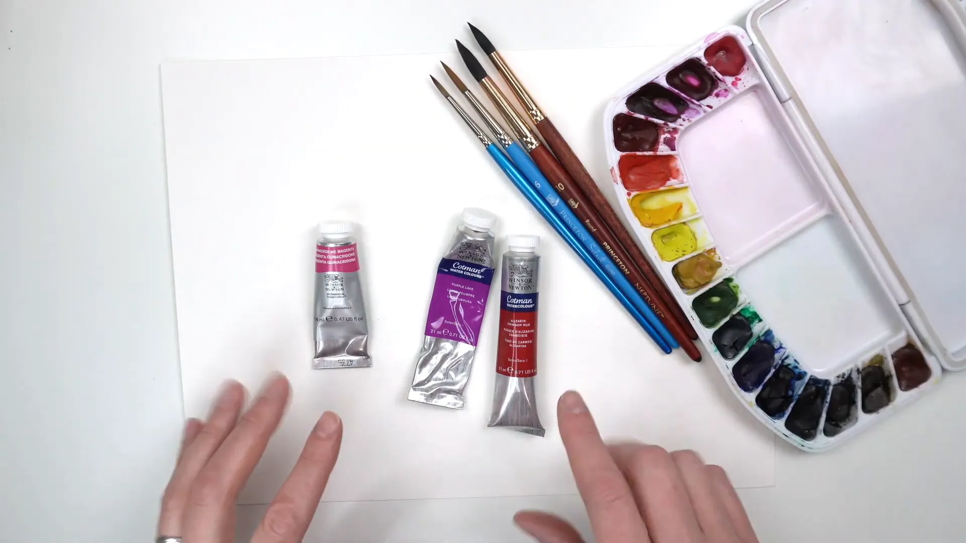 Windsor and Newton Cotman paints