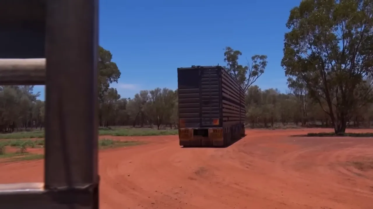 Trailer backed into yard ready to unload goats