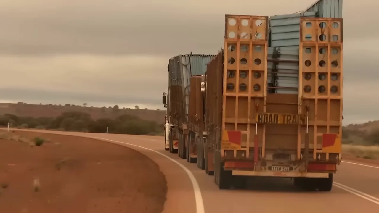 Triple road train on the open road
