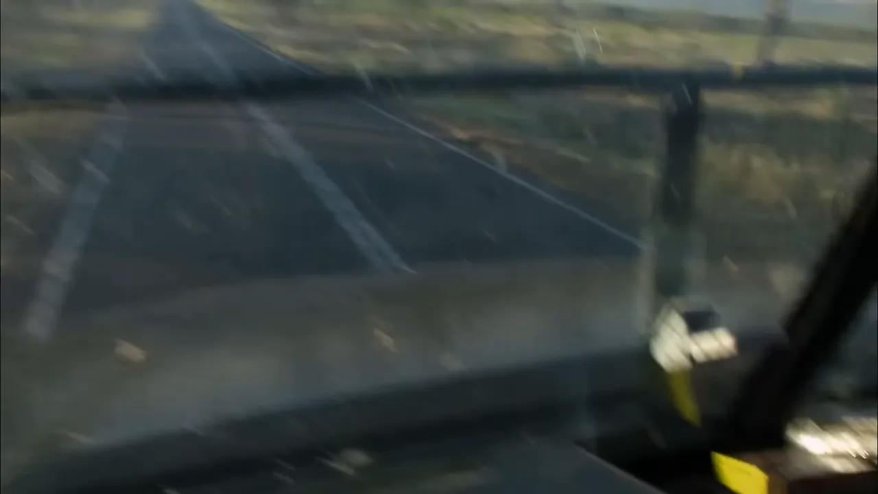 Dashcam showing kangaroo on the road before collision
