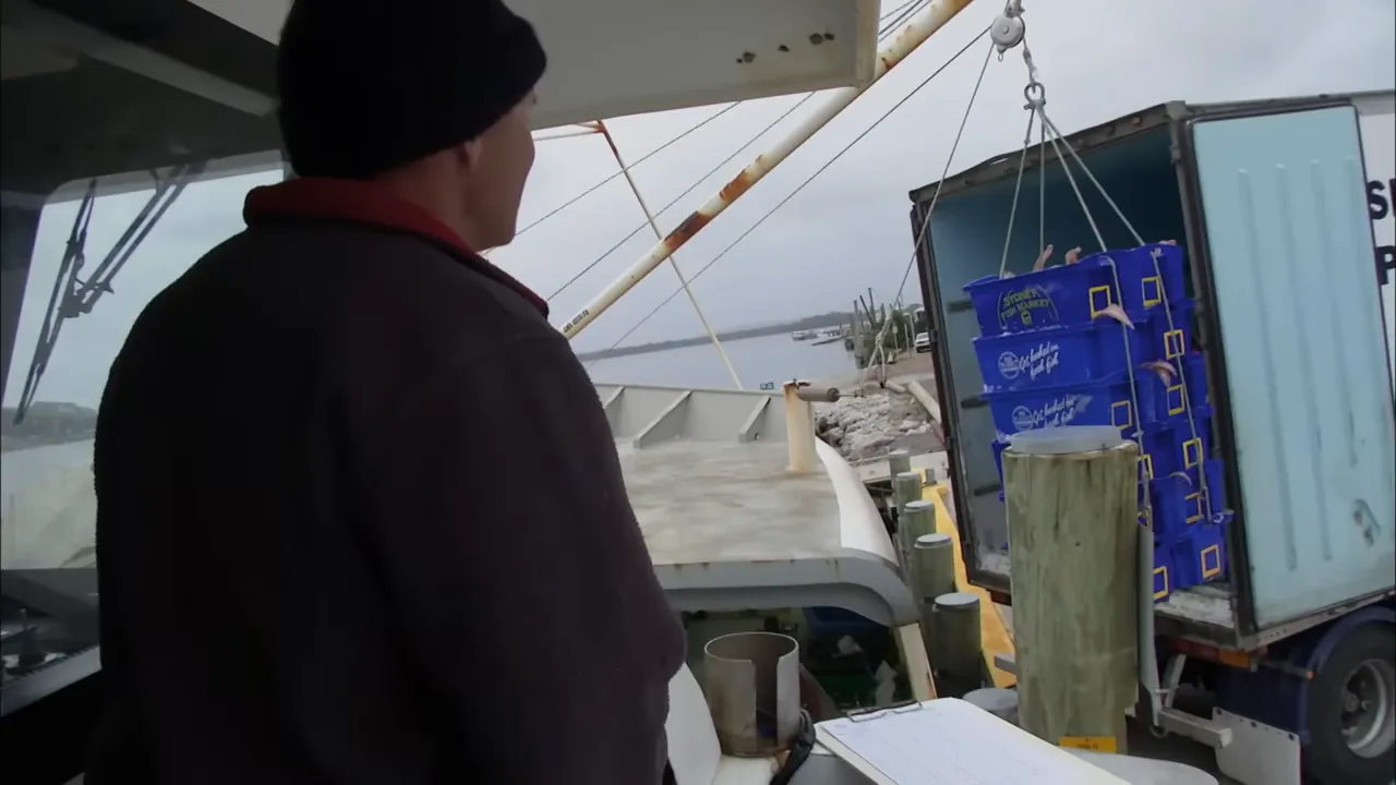 Crew loading fish from the Diana