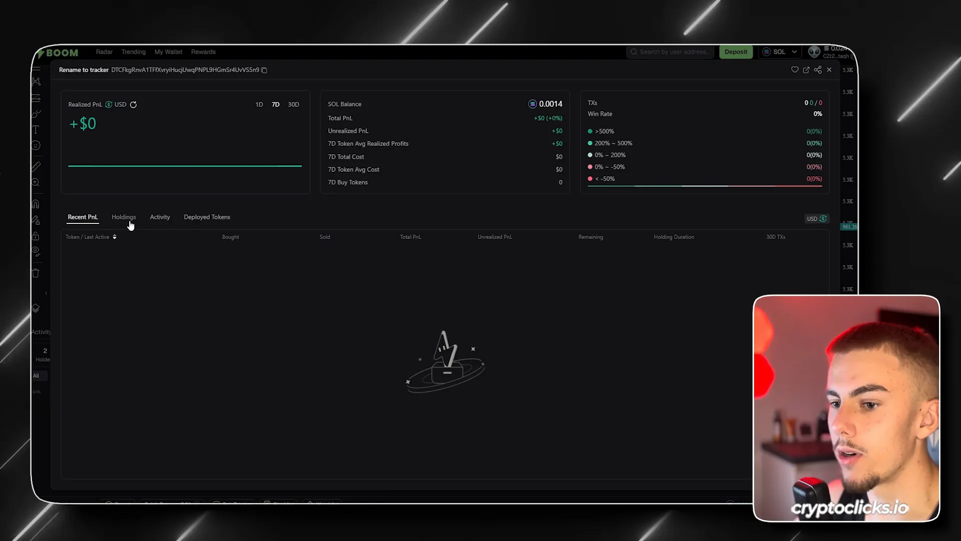 Wallet Tracking Tool showing detailed wallet statistics