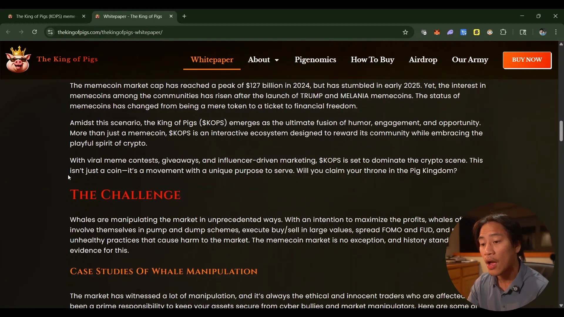 King of Pigs white paper page with detailed project information