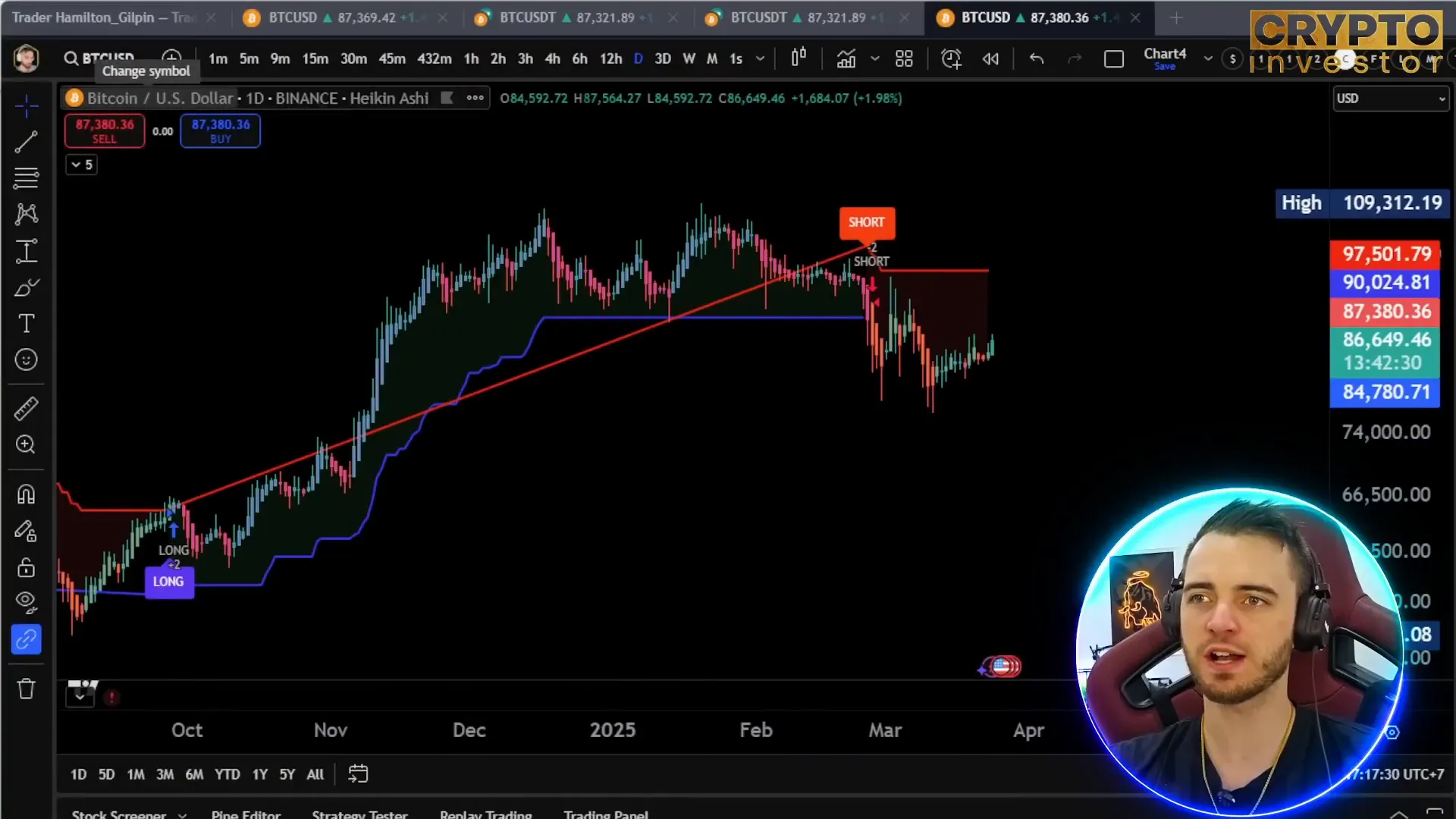 Bitcoin chart with TheSignaler indicator