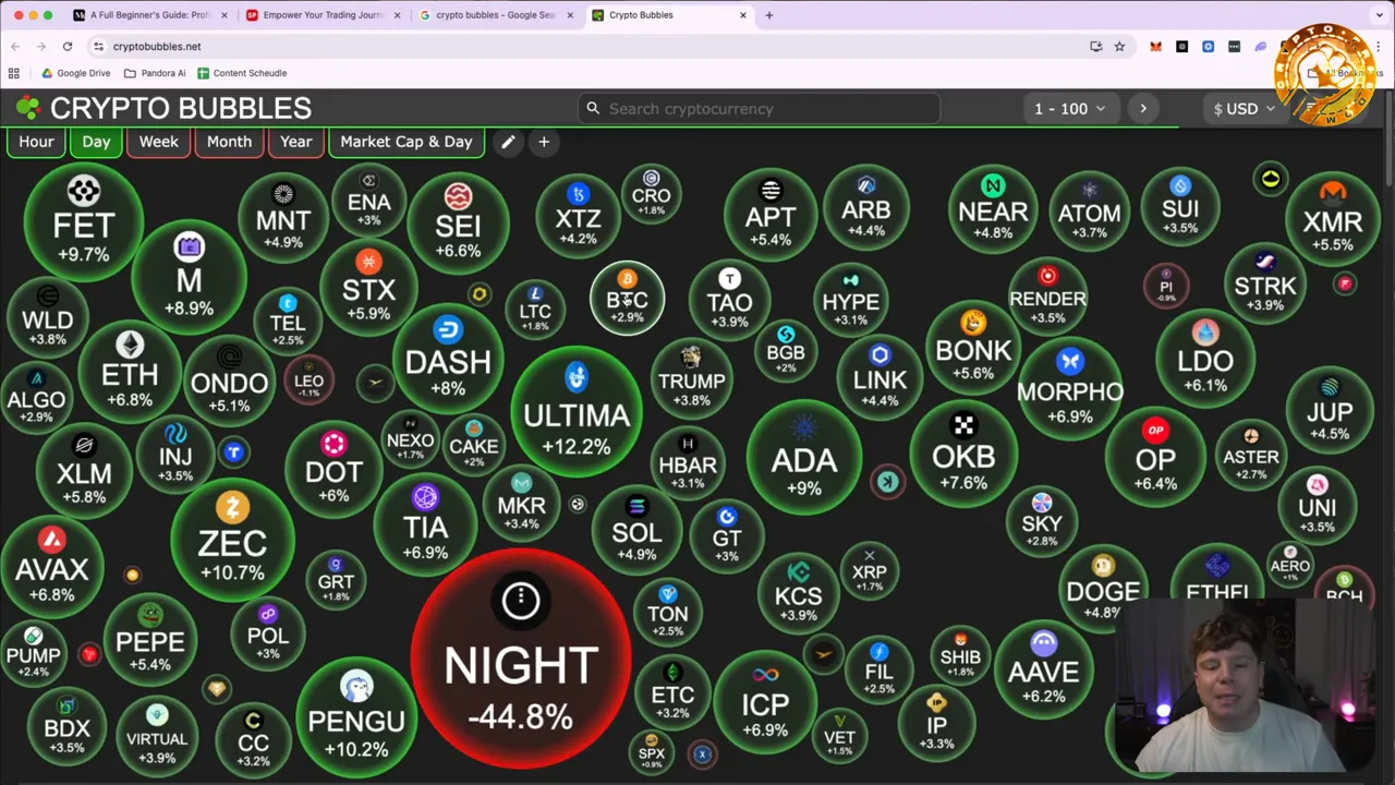 Clear screenshot of Crypto Bubbles market map with many green coin bubbles and percent changes; small webcam overlay in the lower right.