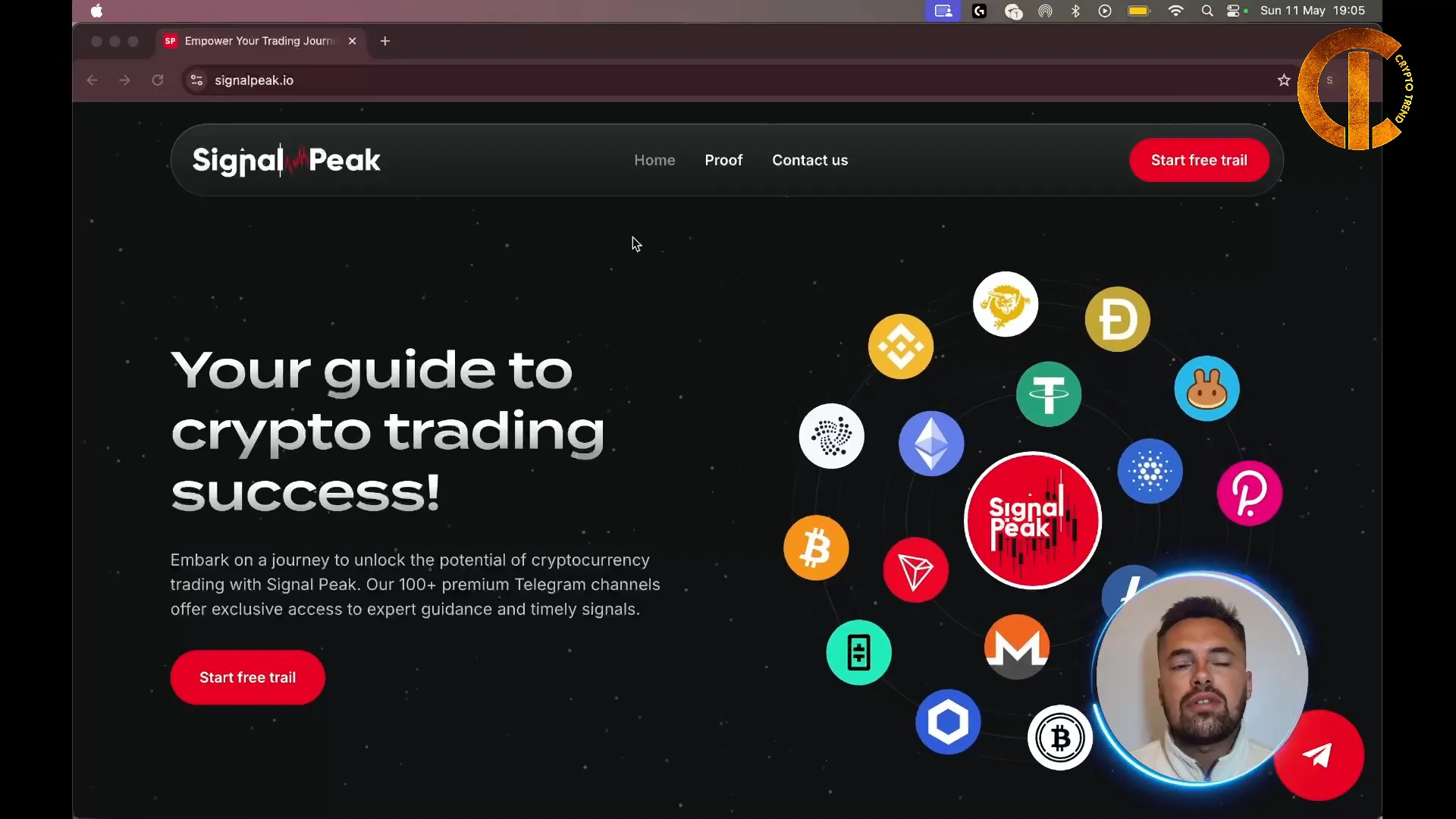 SignalPeak professional website overview