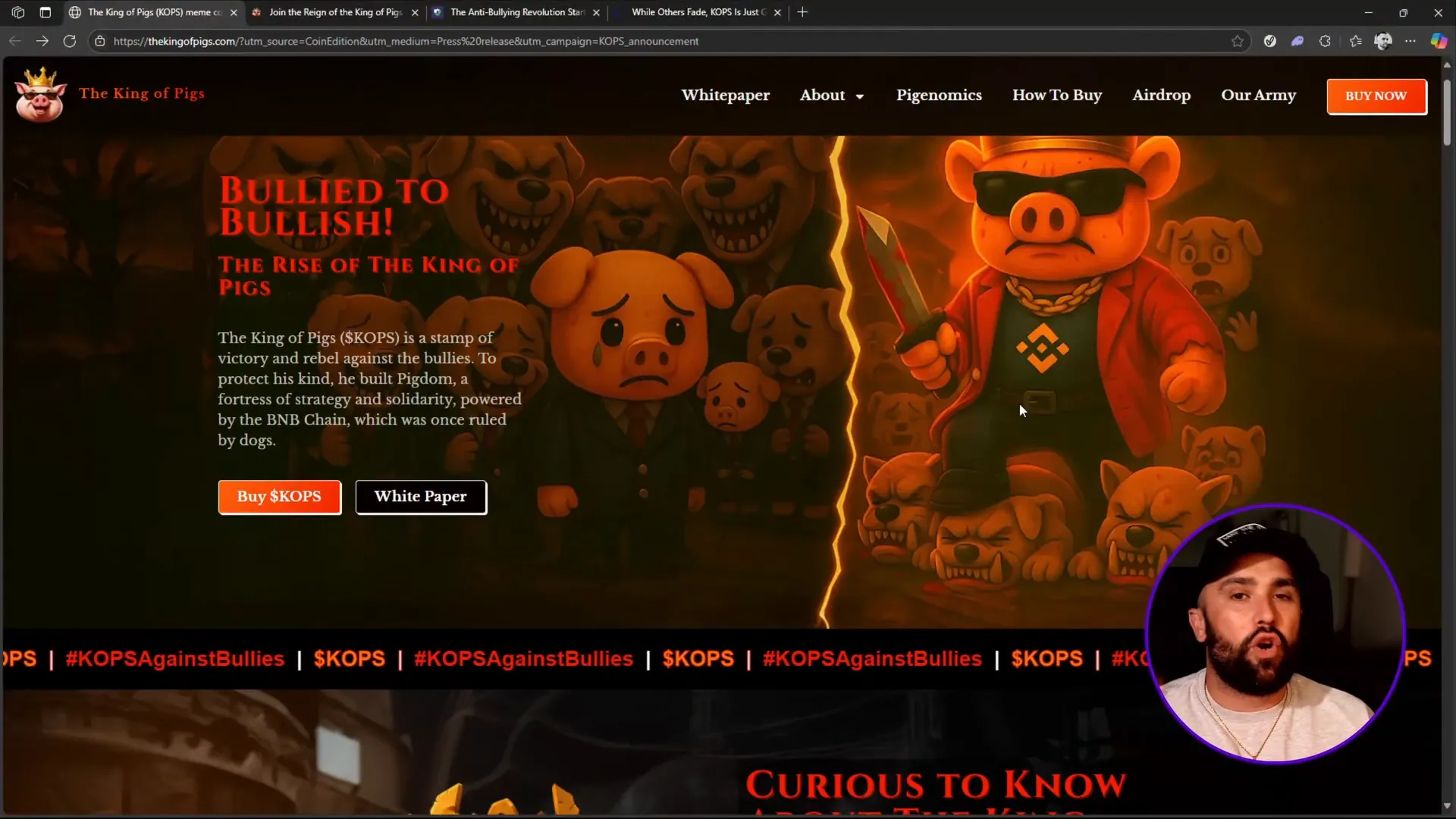 King of Pigs website homepage showcasing the message against bullies