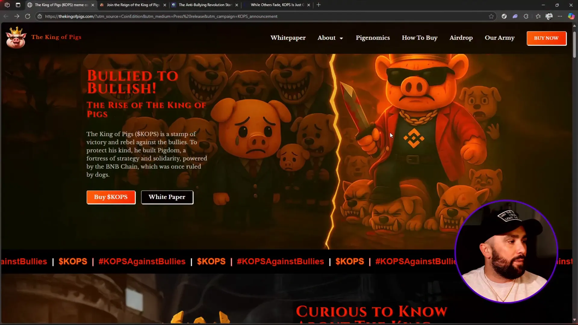 King of Pigs homepage showing the message of rebellion and solidarity
