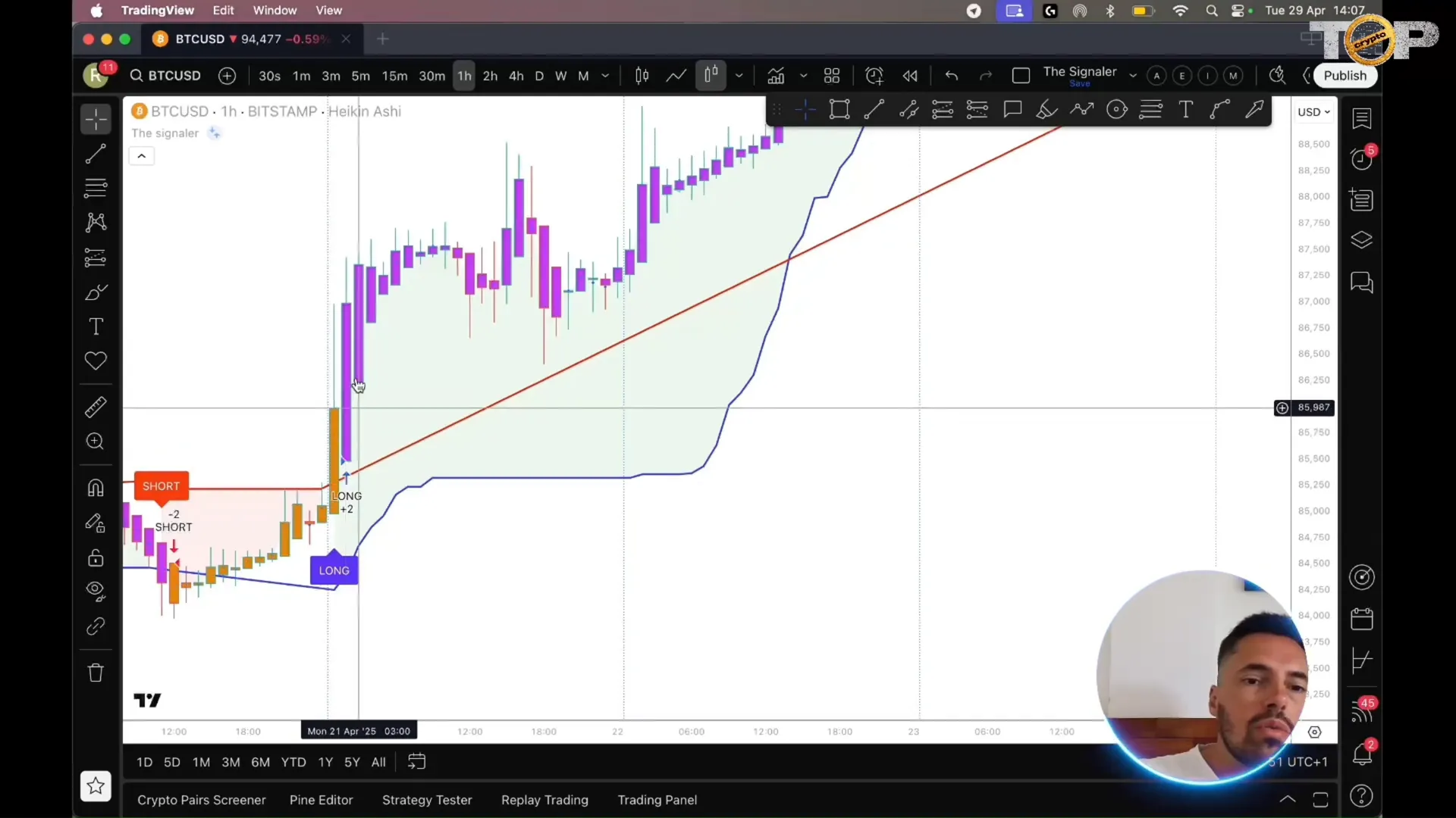 Bitcoin chart showing TheSignaler long signal candle