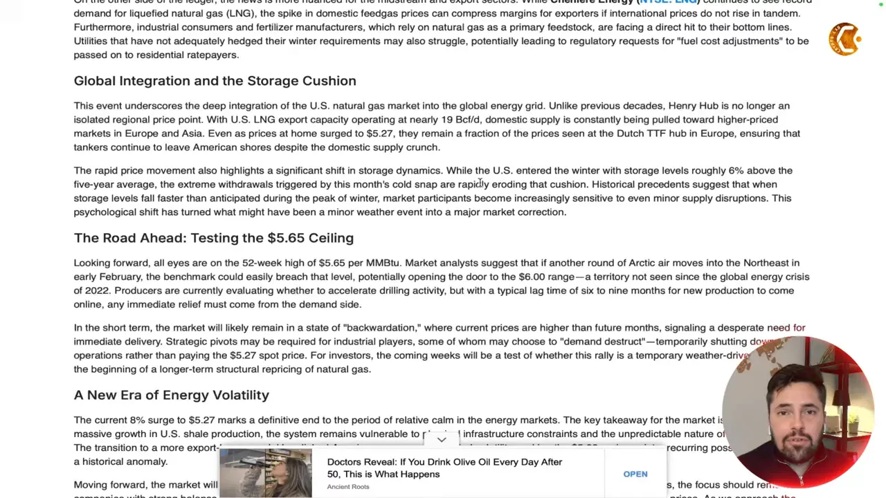 Clear screenshot of article text including 'Global Integration and the Storage Cushion' and 'The Road Ahead' with a circular presenter overlay in the lower-right