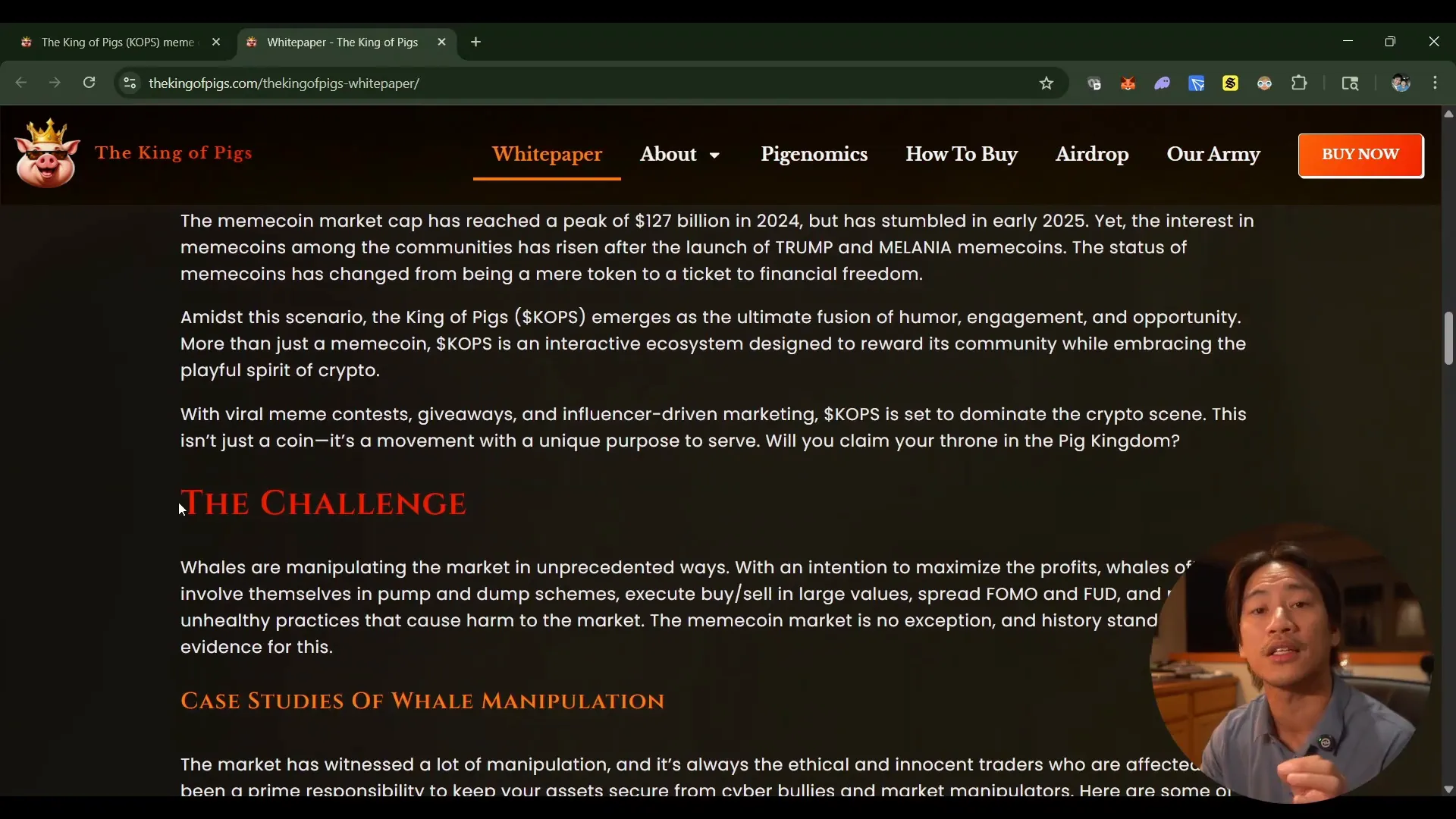 King of Pigs white paper page with detailed project information