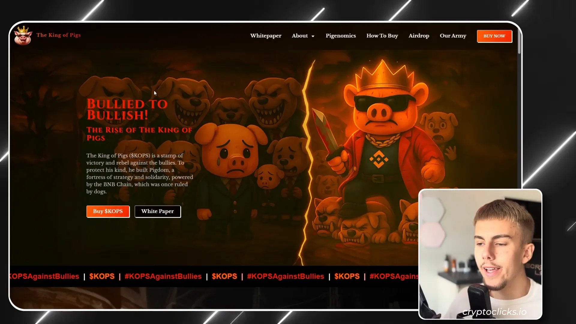 King of Pigs project introduction and mascot