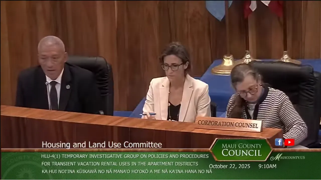 Vice Chair Hajins summarizing the TIG report to the council