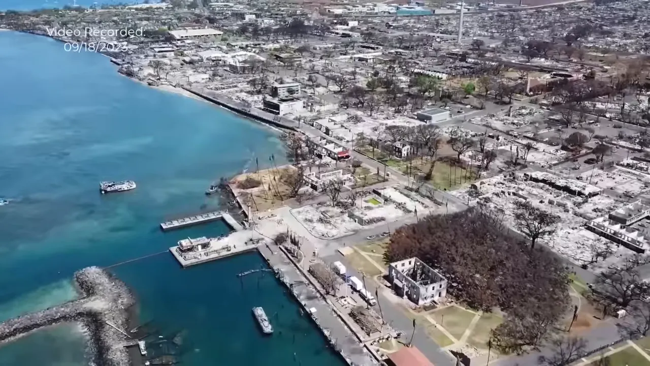 Banyan tree and fire damaged boats in early aftermath