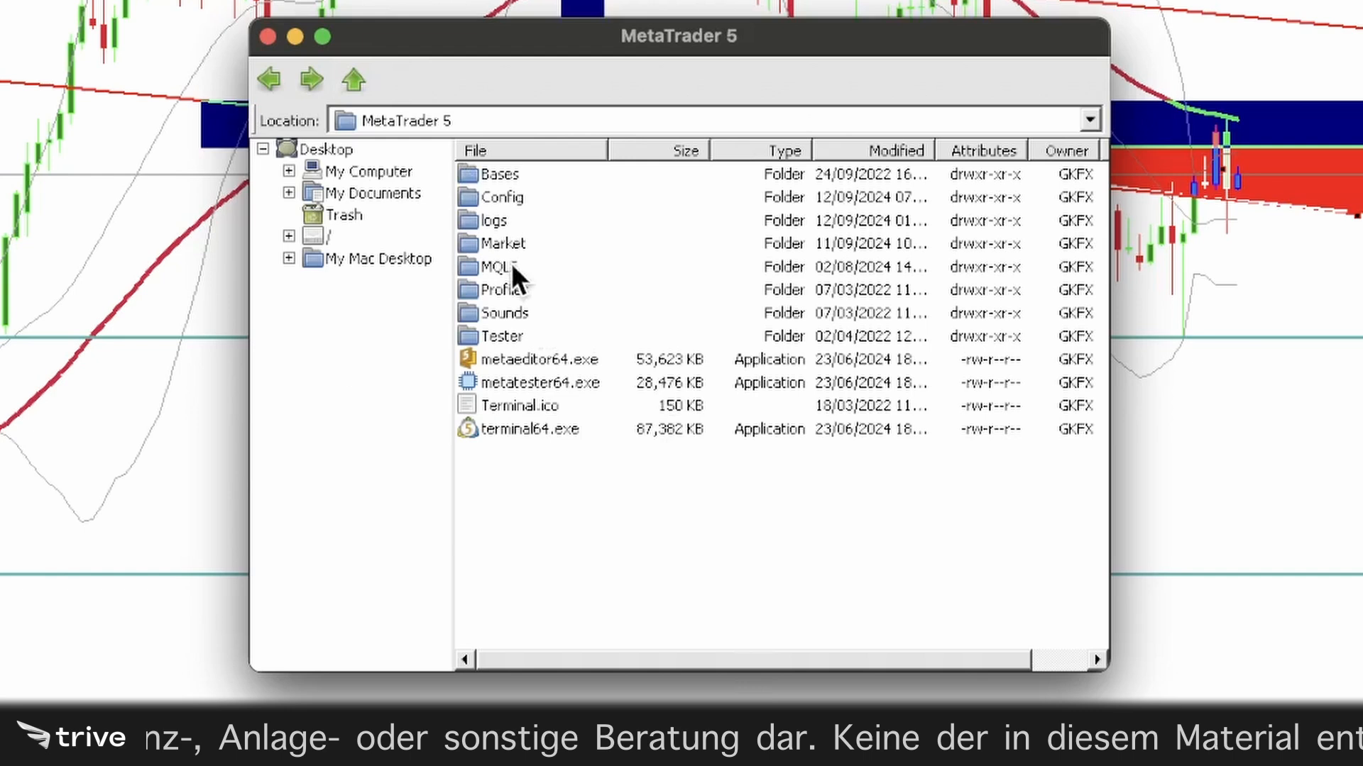 MQL5 Ordner im Windows MetaTrader