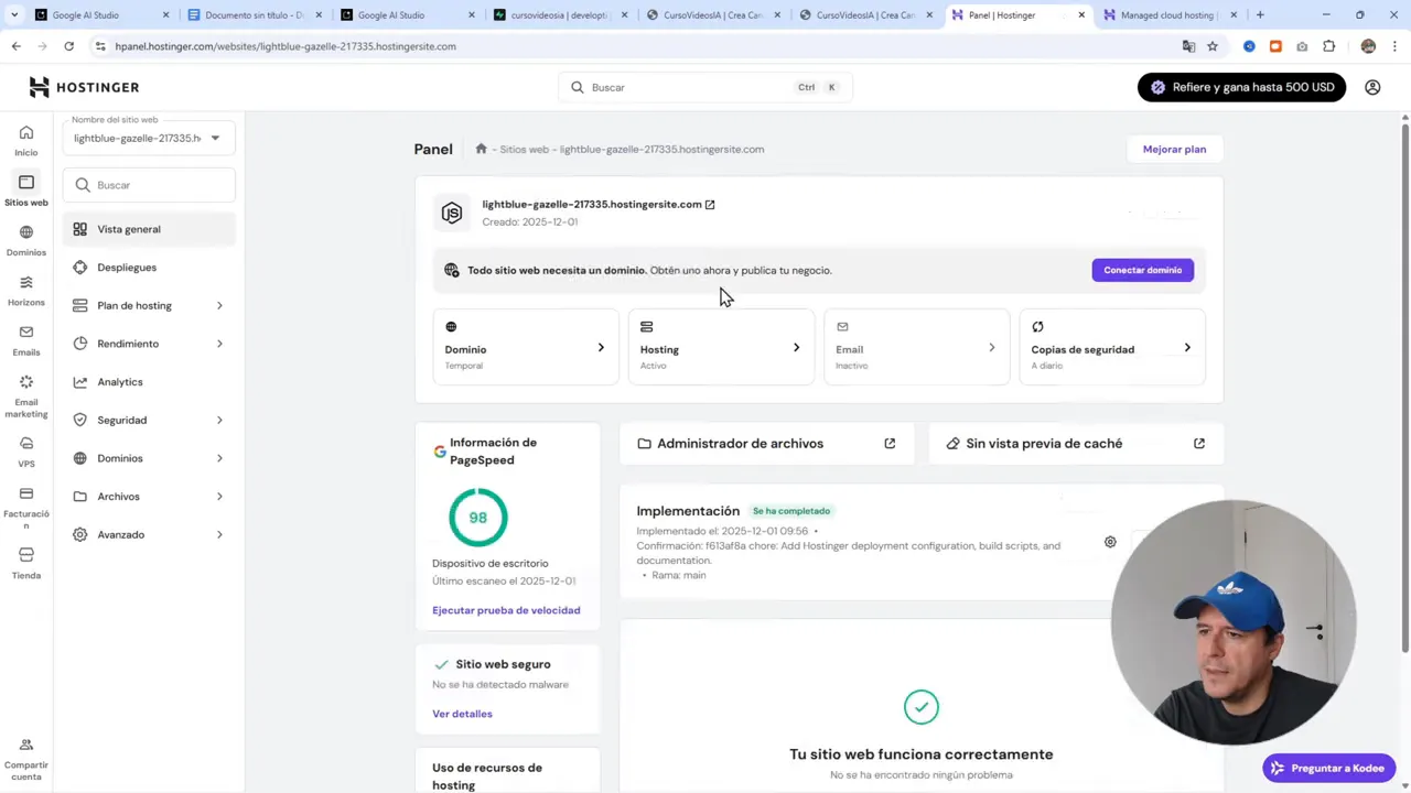Panel de Hostinger mostrando información del sitio, PageSpeed y la opción para conectar dominio; el sitio aparece funcionando correctamente.