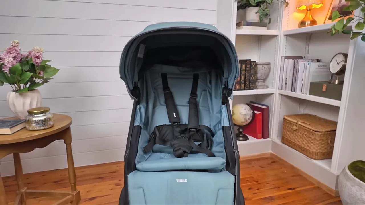 Thule Spring 2 seat and harness close-up