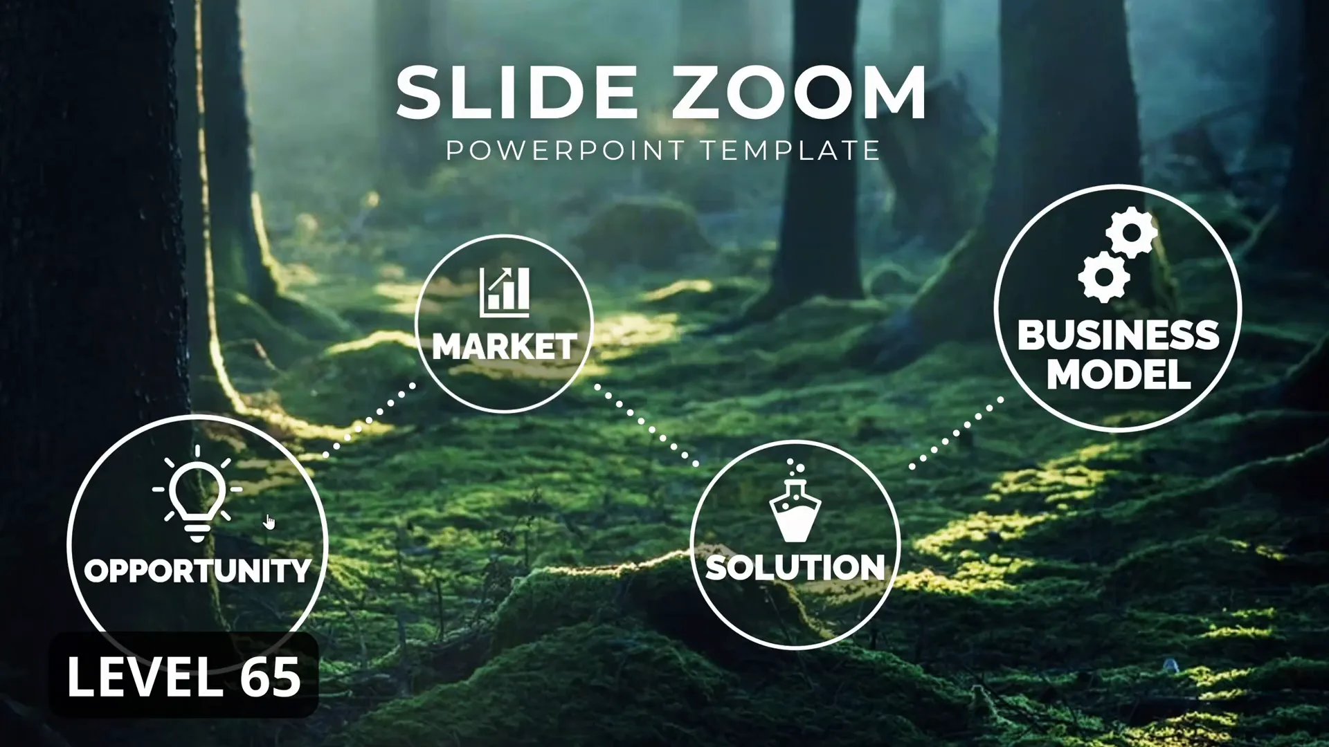 Level 65 interactive slide zoom with infographics