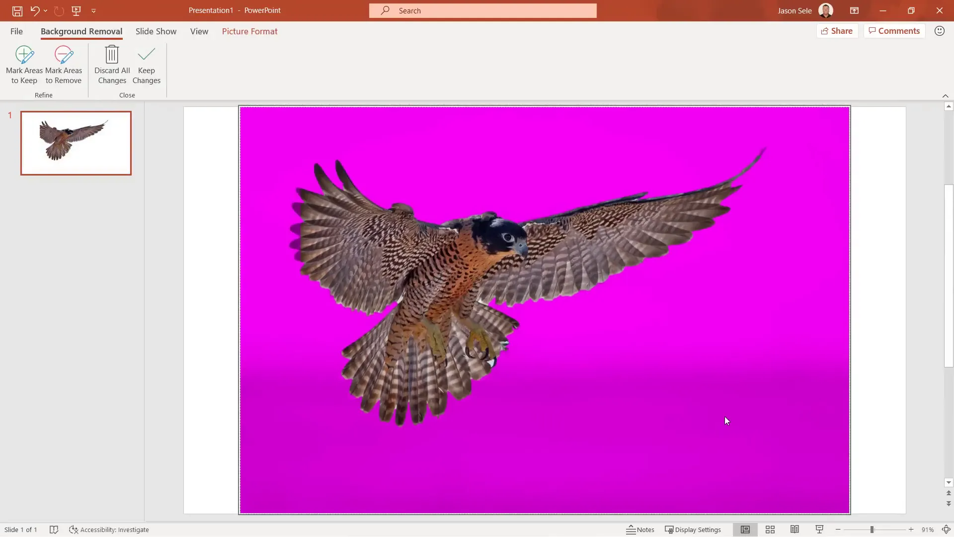 PowerPoint Remove Background tool in action on bird image