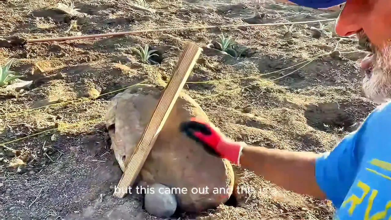 Jules and the giant boulder