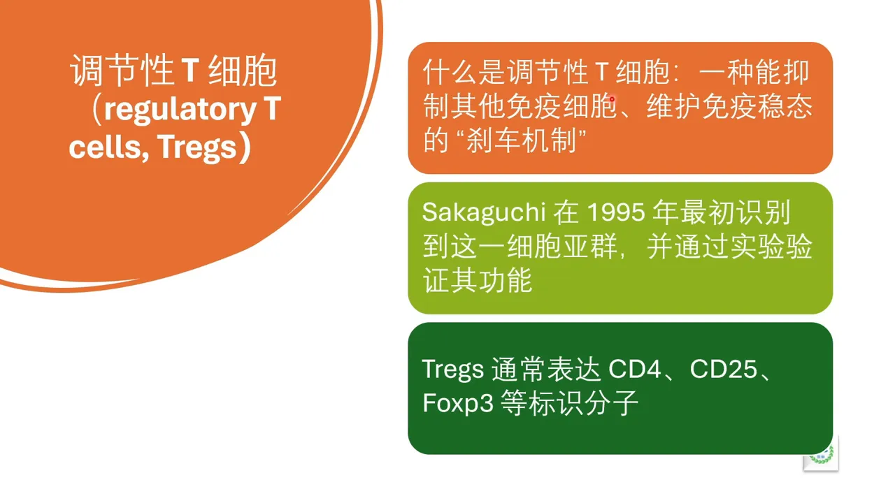 科學家與研究設備示意圖