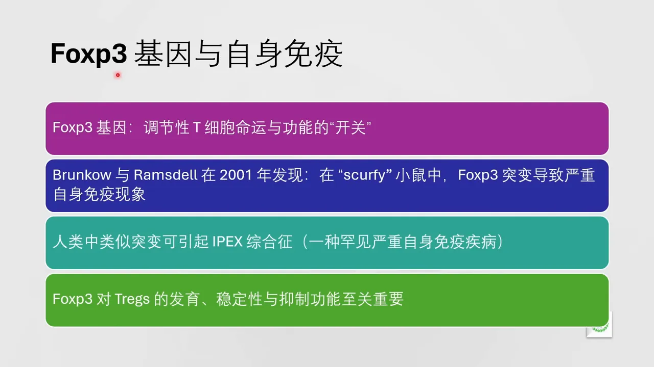 FOXP3 基因被發現為調節性 T 細胞功能的開關
