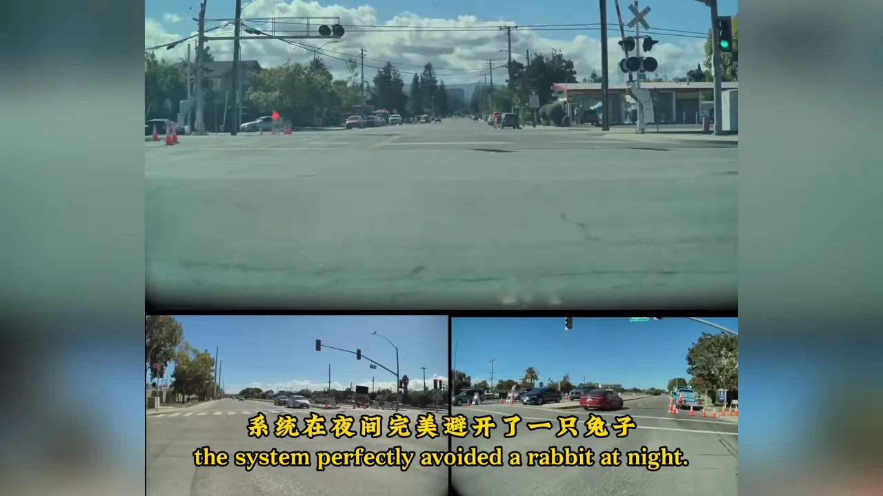 夜間避兔測試片段，測試者說 FSD14.1.1救了這隻兔子的命