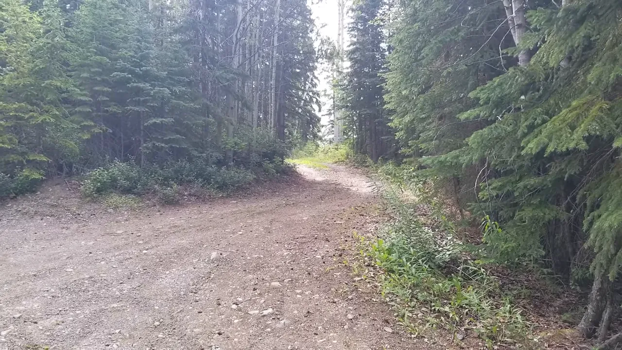 Off grid life - woman driving in a vehicle speaking to camera on a forest road