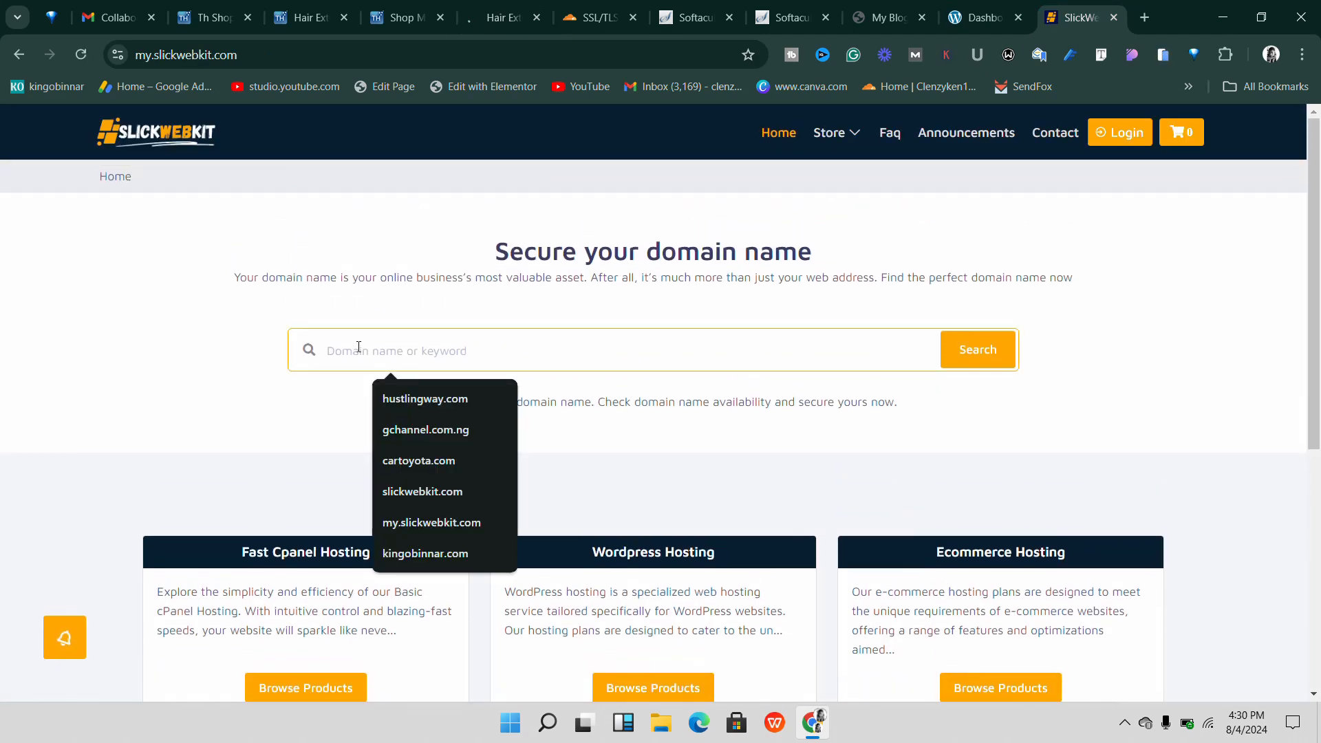 Domain Name and Hosting Selection