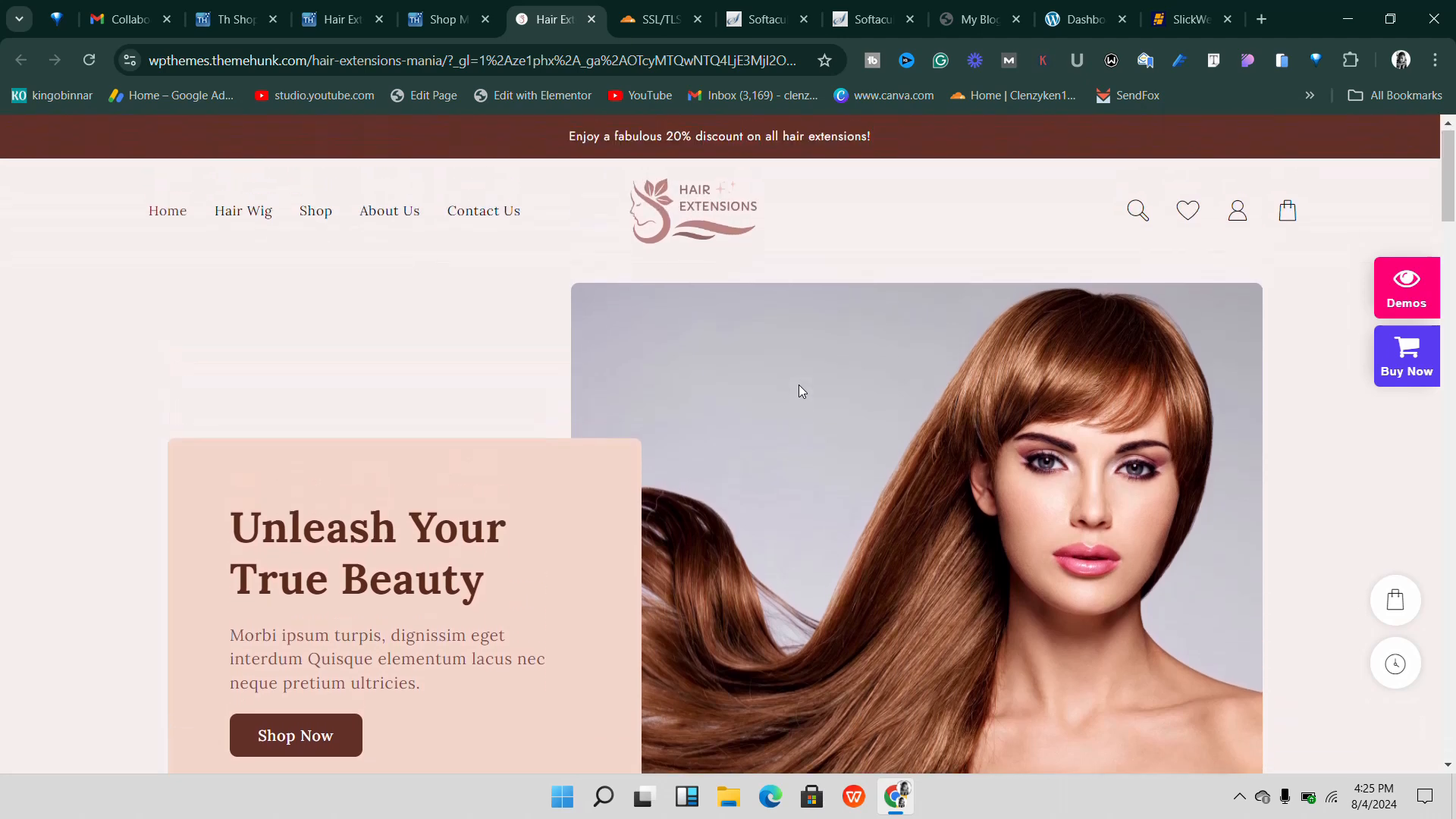 Preview of Hair Extension Website