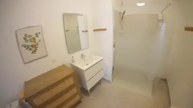Salle de bain avec meuble vasque, miroir, toilettes et grande douche