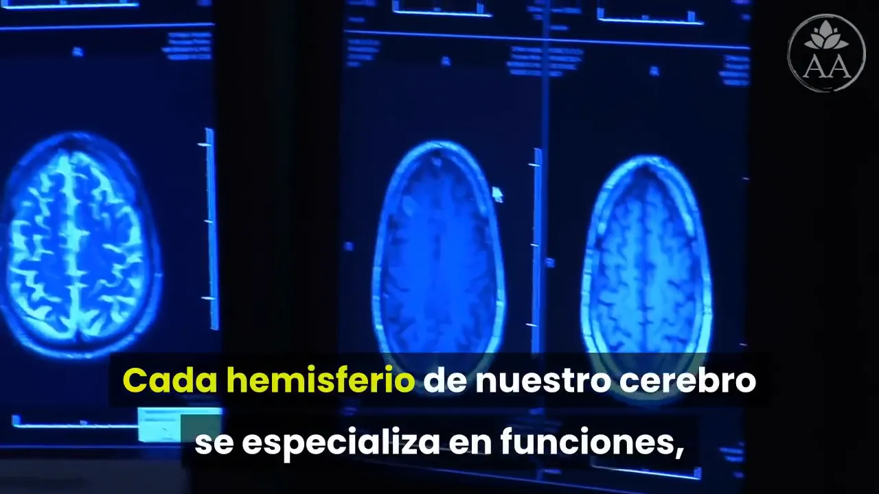 Funciones de los hemisferios cerebrales