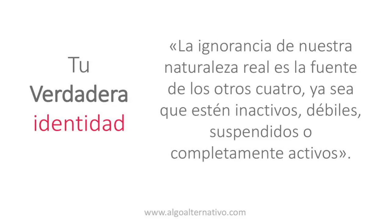 Meditar para trascender