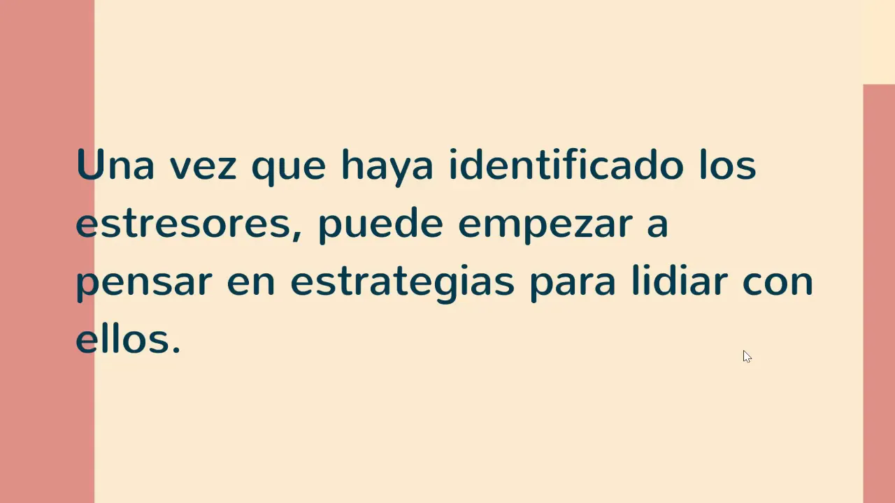 Estrategias de manejo del estrés
