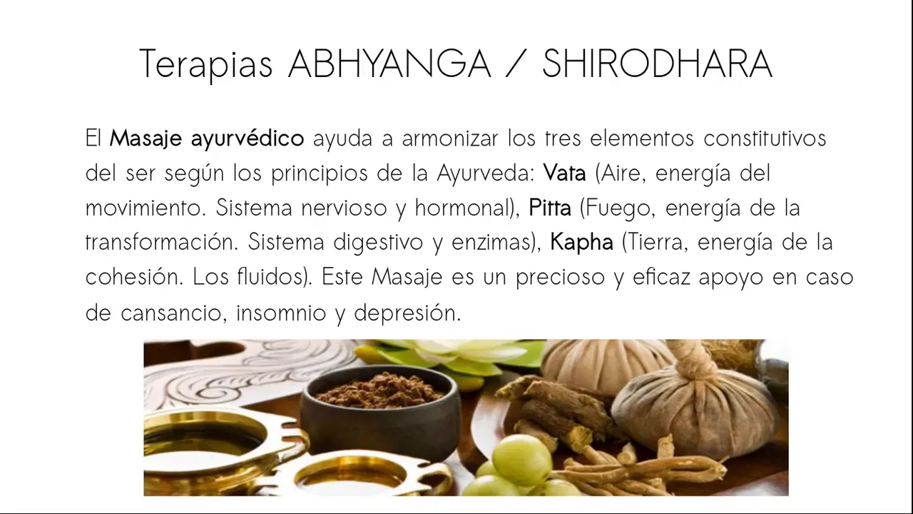 Inicio del seminario intensivo de Ayurveda