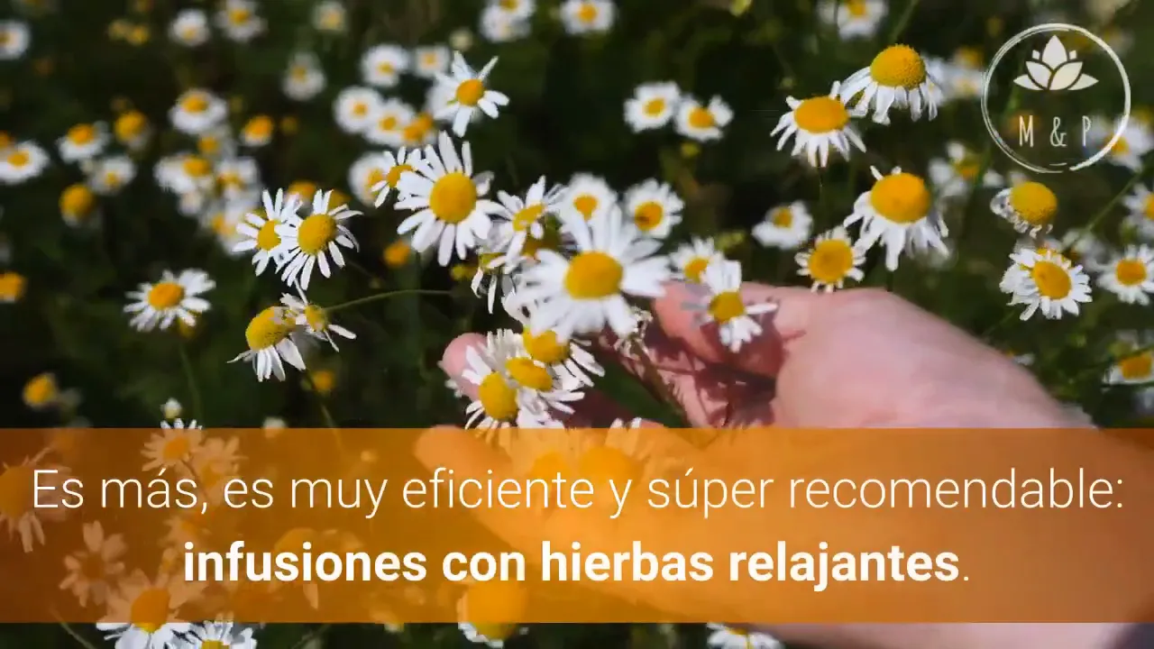 Preparación de infusiones para aliviar el dolor de cabeza